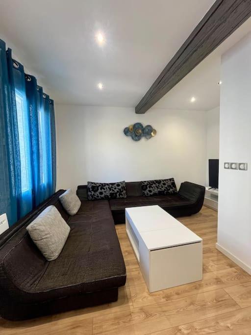 Appartamento T2 Renove A 15 Min De Lyon Pierre-Bénite Esterno foto